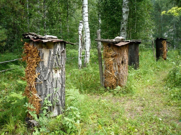 купить мед, мед с доставкой надом